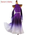 Load image into Gallery viewer, Modern Dance Dress Stand-Up Collar Mesh Sleeve Long Skirt Performance Clothing High-End Custom Child Woman Competition Clothes