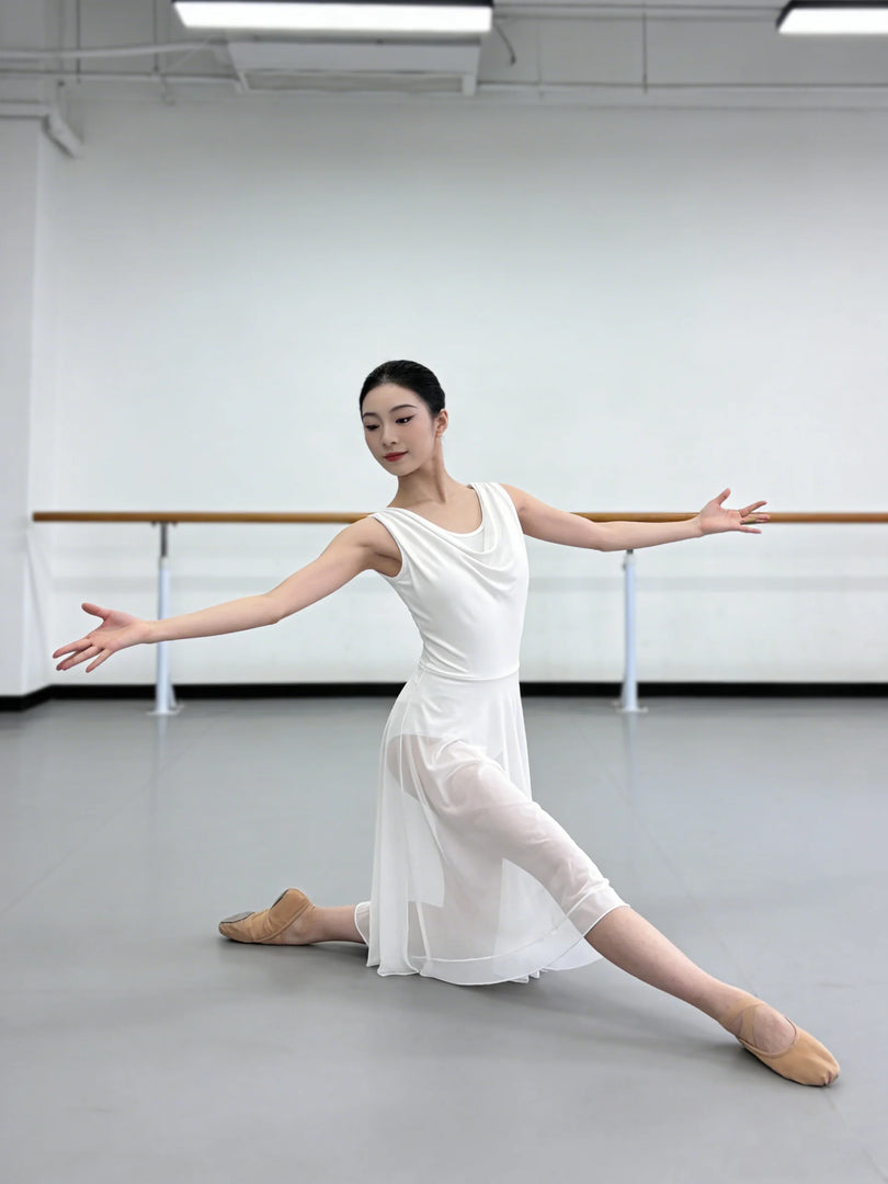 Adult Women Lyrical Dance Costume Modern Contemporary Dancewear V-Neck Backless Mesh Tulle Flowy Overlay Dress Stage Performance