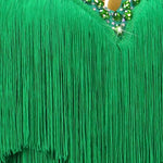 Load image into Gallery viewer, Women's Dress Latin Dance Costumes Girls Clothing Fringed Skirts Stage Ballroom Prom Suit Party Sports Female Samba Evening Wear